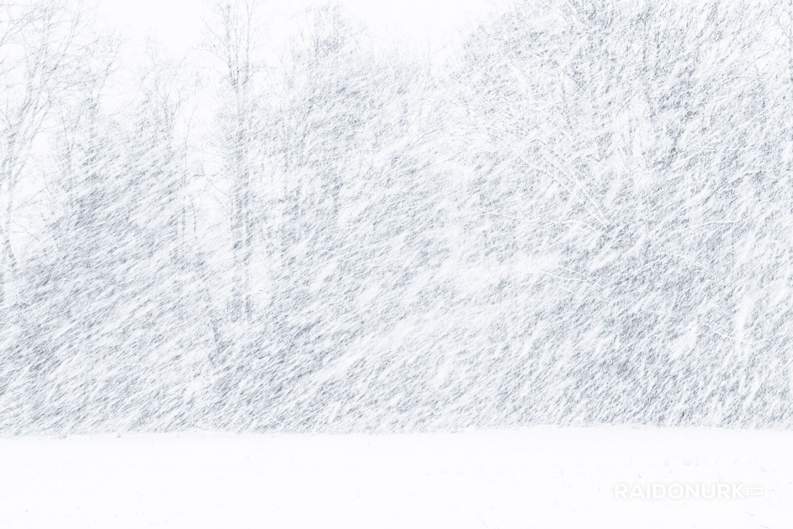 High-key winter field disappearing into snowfall