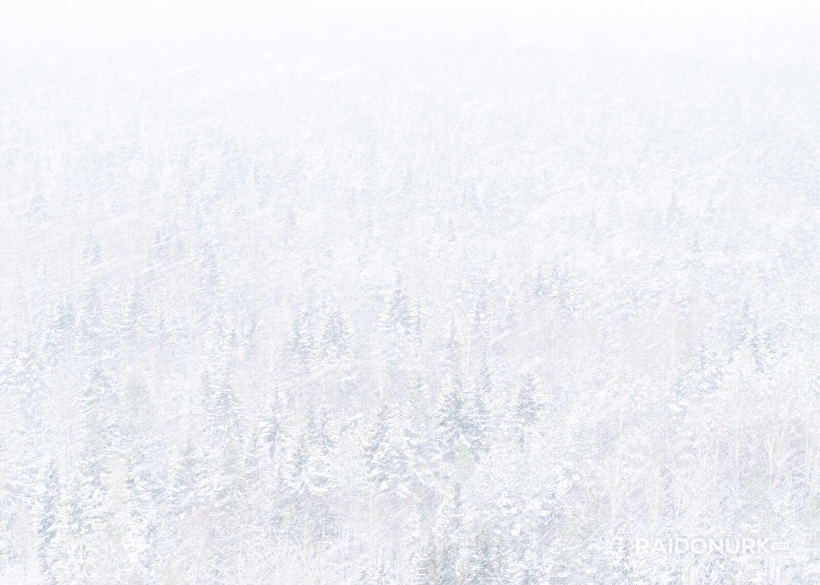 Abstract snowy road in Nordic winter