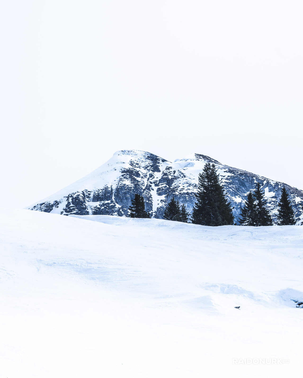 Minimalist mountain photography series capturing layered forests, fog, and snow. Atmospheric fine art landscapes focused on silence, depth, and natural abstraction.