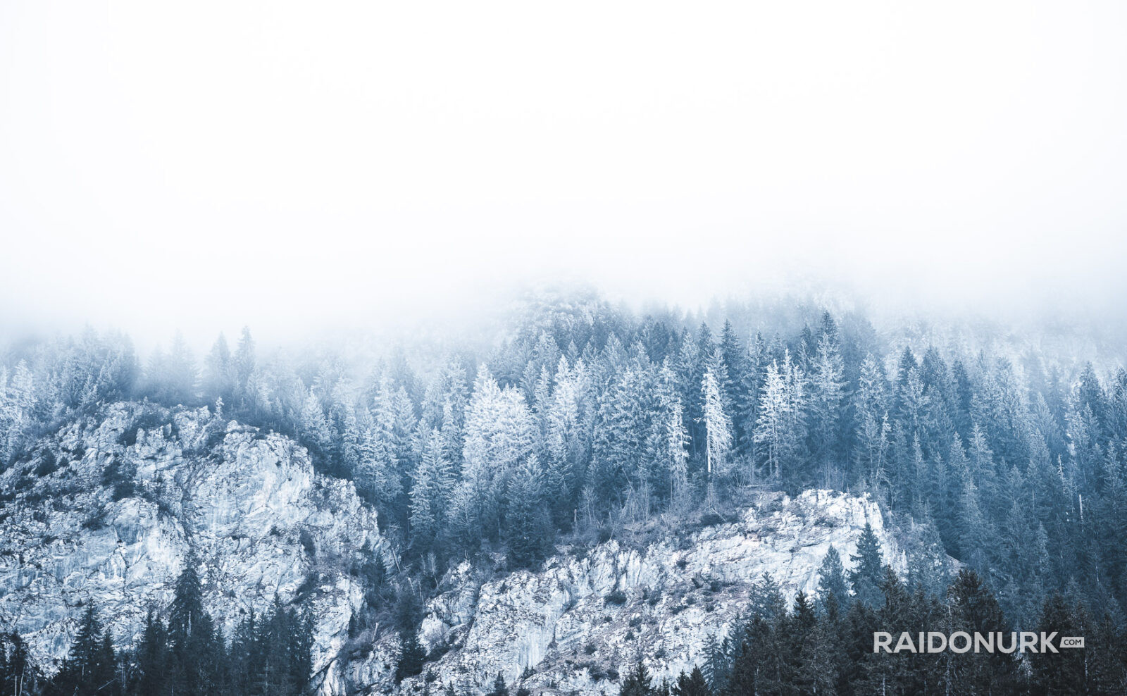Minimalist mountain photography series capturing layered forests, fog, and snow. Atmospheric fine art landscapes focused on silence, depth, and natural abstraction.
