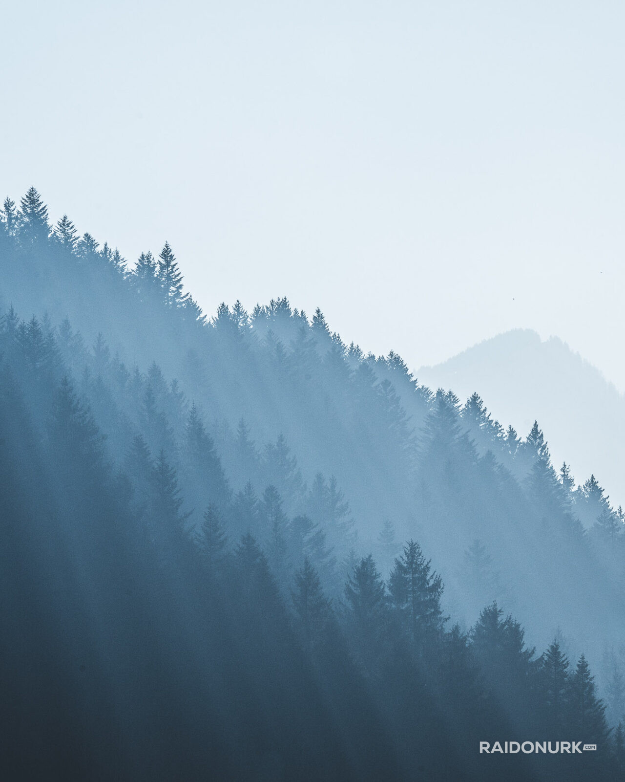 Minimalist mountain photography series capturing layered forests, fog, and snow. Atmospheric fine art landscapes focused on silence, depth, and natural abstraction.